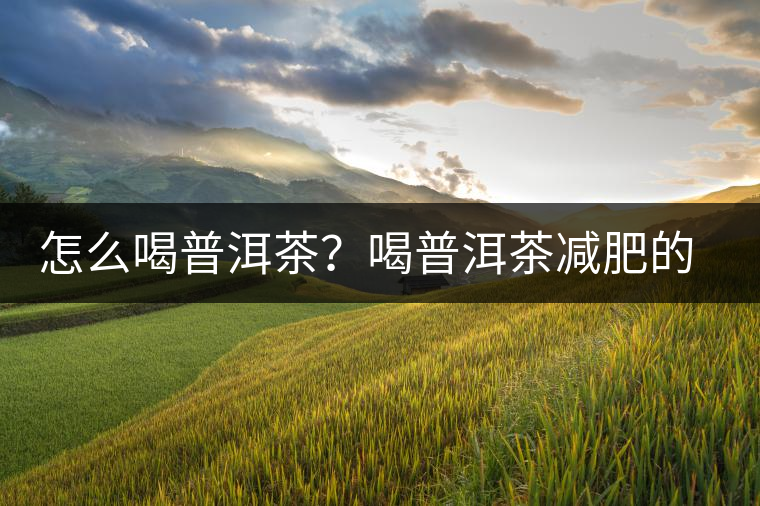 怎么喝普洱茶？喝普洱茶減肥的注意事項