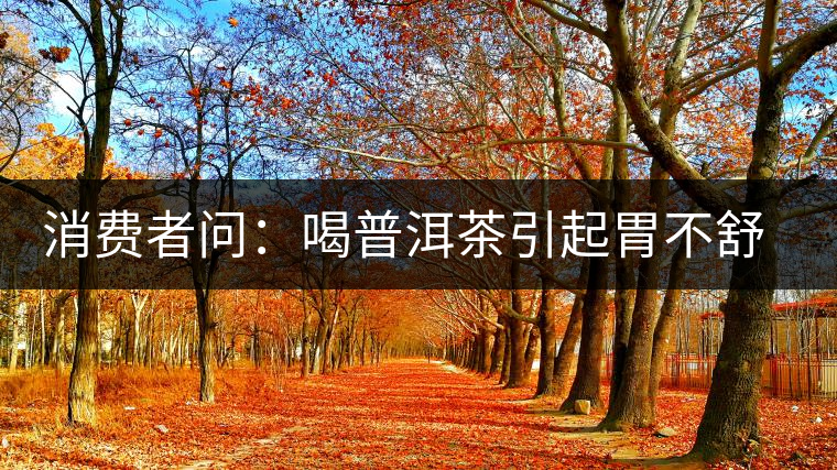 消費者問：喝普洱茶引起胃不舒服怎么辦？