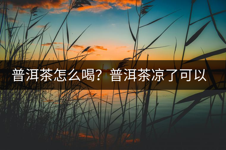 普洱茶怎么喝？普洱茶涼了可以喝嗎？