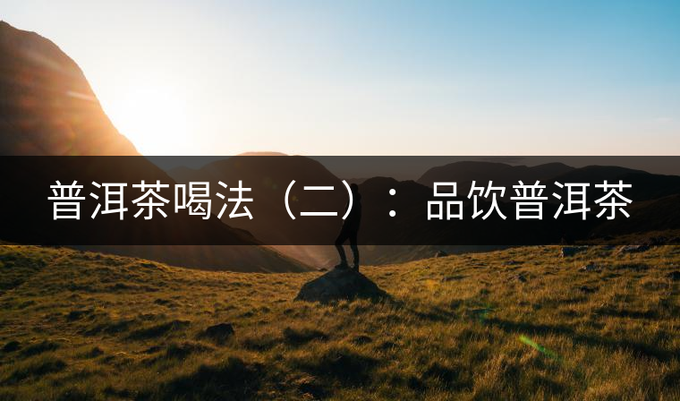 普洱茶喝法（二）：品飲普洱茶