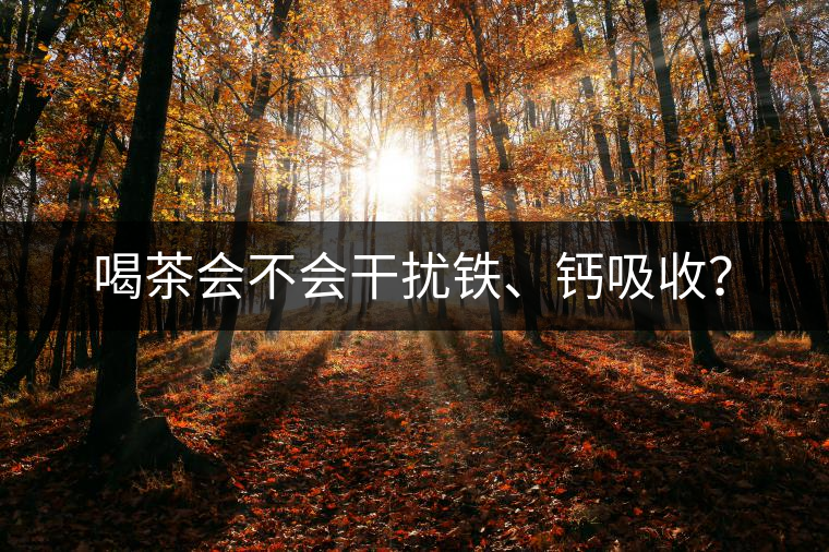 喝茶會(huì)不會(huì)干擾鐵、鈣吸收？