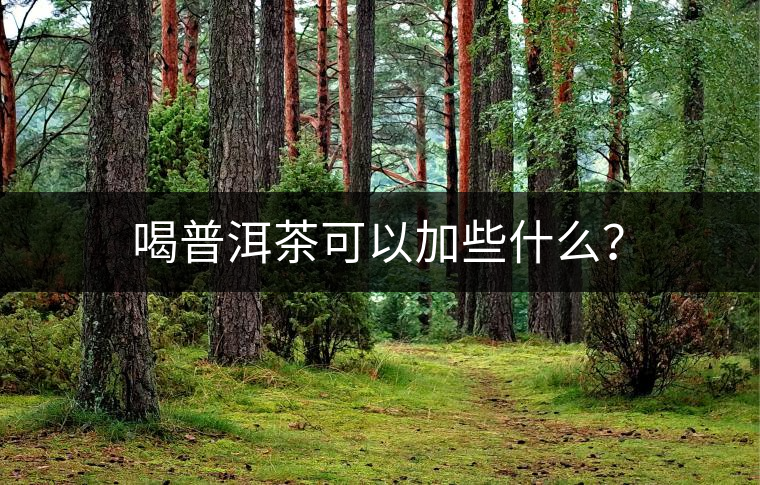 喝普洱茶可以加些什么？