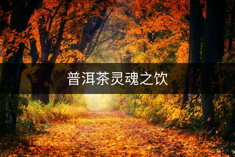 普洱茶靈魂之飲 普洱茶靈魂之飲