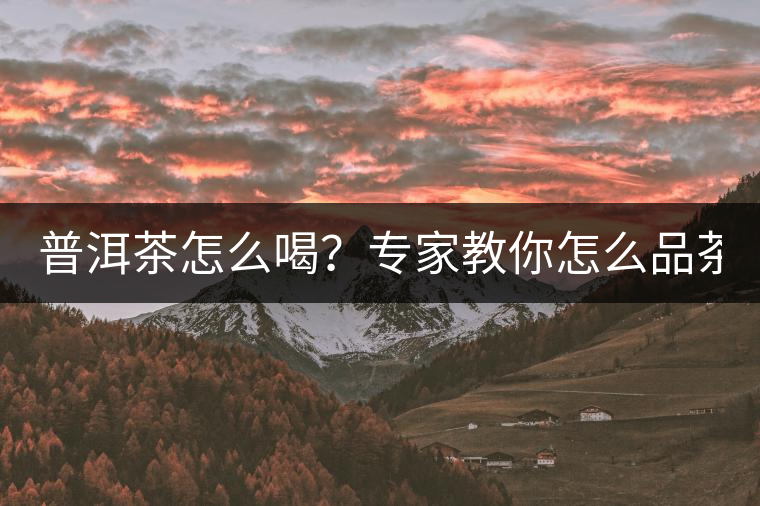 普洱茶怎么喝？專(zhuān)家教你怎么品茶？