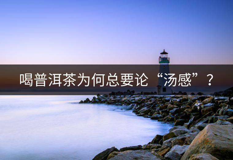 喝普洱茶為何總要論“湯感”？