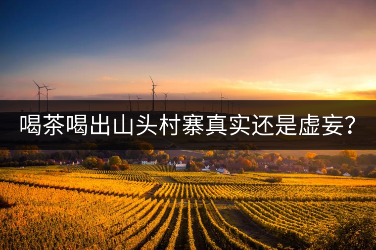 喝茶喝出山頭村寨真實還是虛妄？