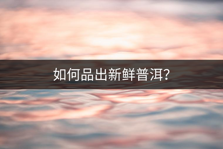 如何品出新鮮普洱？