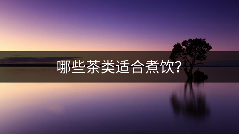 哪些茶類適合煮飲？