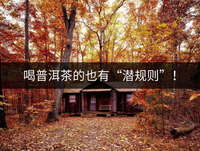喝普洱茶的也有“潛規(guī)則”！