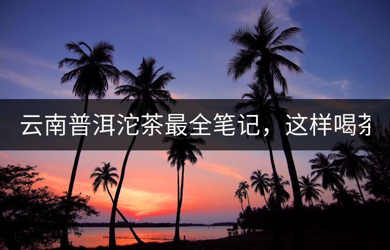 云南普洱沱茶最全筆記，這樣喝茶才更健康！