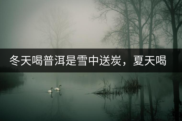 冬天喝普洱是雪中送炭，夏天喝就是火上澆油了？