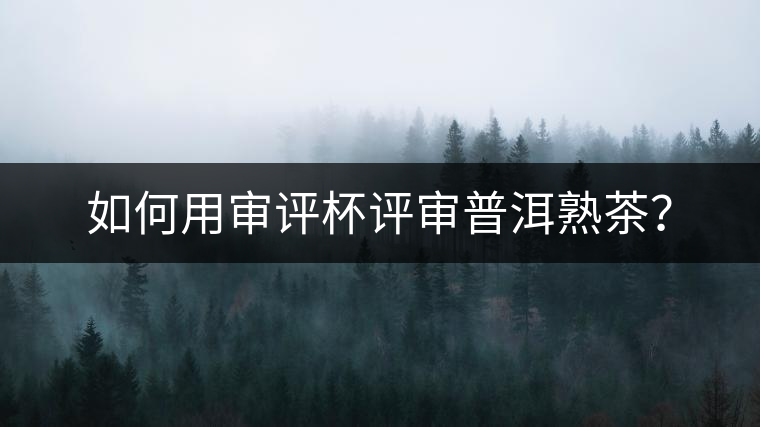 如何用審評(píng)杯評(píng)審普洱熟茶？