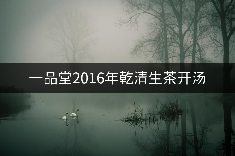 一品堂2016年乾清生茶開湯 一品堂2016年乾清生茶開湯