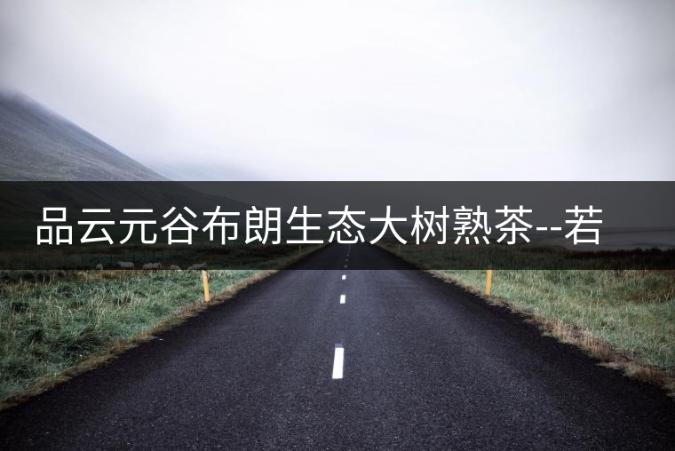 品云元谷布朗生態(tài)大樹熟茶--若谷 品云元谷布朗生態(tài)大樹熟茶--若谷