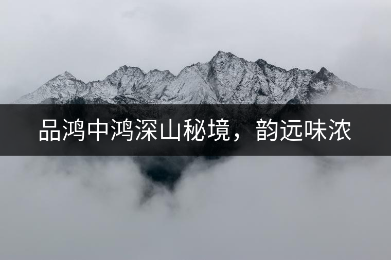 品鴻中鴻深山秘境，韻遠(yuǎn)味濃