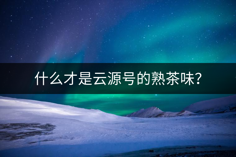 什么才是云源號的熟茶味？