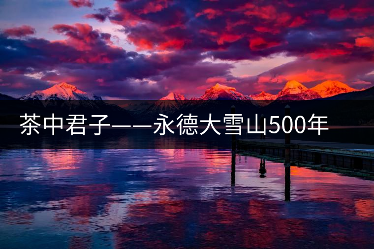 茶中君子——永德大雪山500年單株