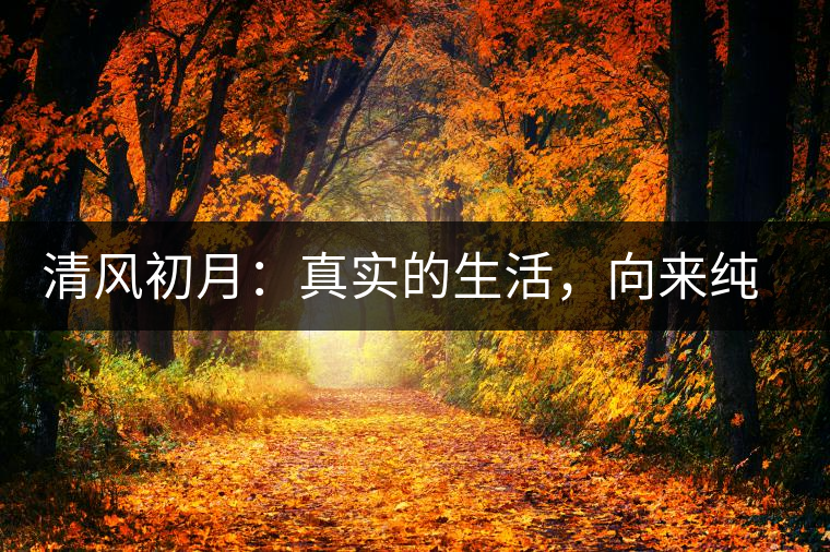 清風(fēng)初月：真實(shí)的生活，向來純簡