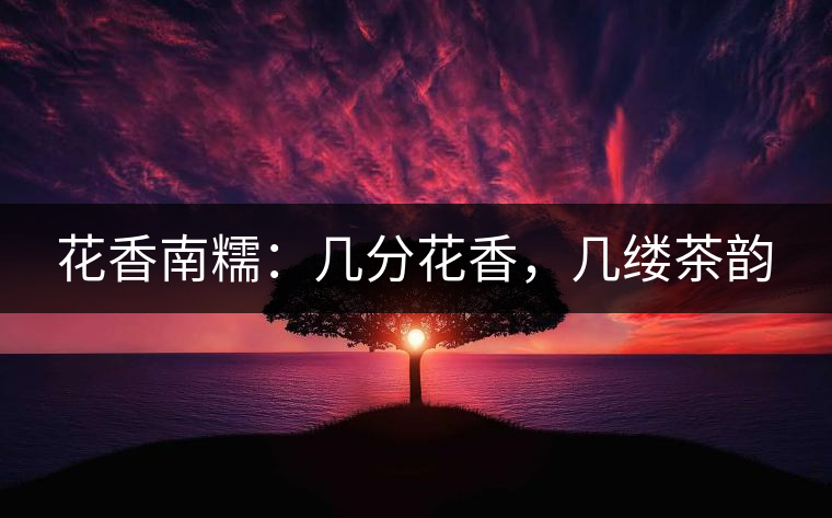 花香南糯：幾分花香，幾縷茶韻