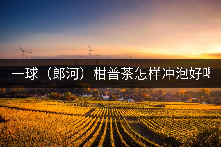 一球（郎河）柑普茶怎樣沖泡好喝？