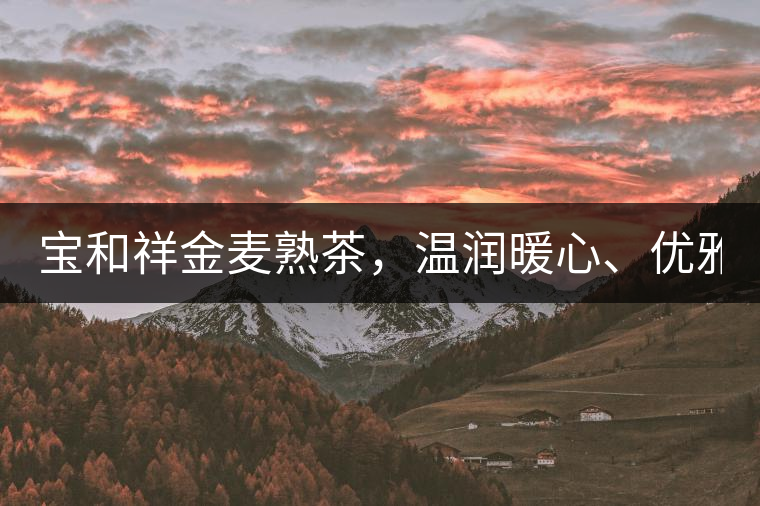 寶和祥金麥熟茶，溫潤暖心、優(yōu)雅迷人。