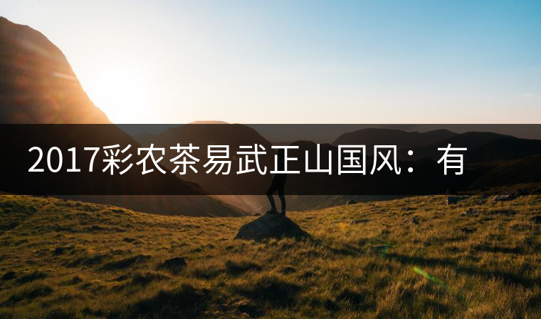 2017彩農(nóng)茶易武正山國(guó)風(fēng)：有茶韻，亦有國(guó)風(fēng)