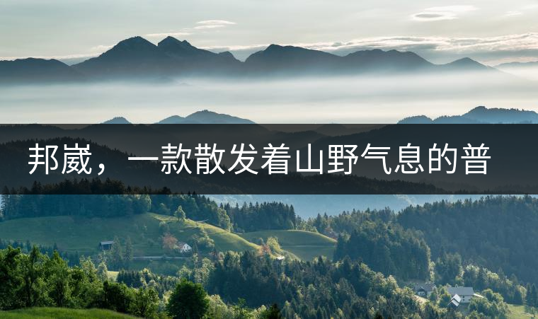 邦崴，一款散發(fā)著山野氣息的普洱