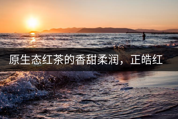 原生態(tài)紅茶的香甜柔潤，正皓紅的魅力無可抵擋！