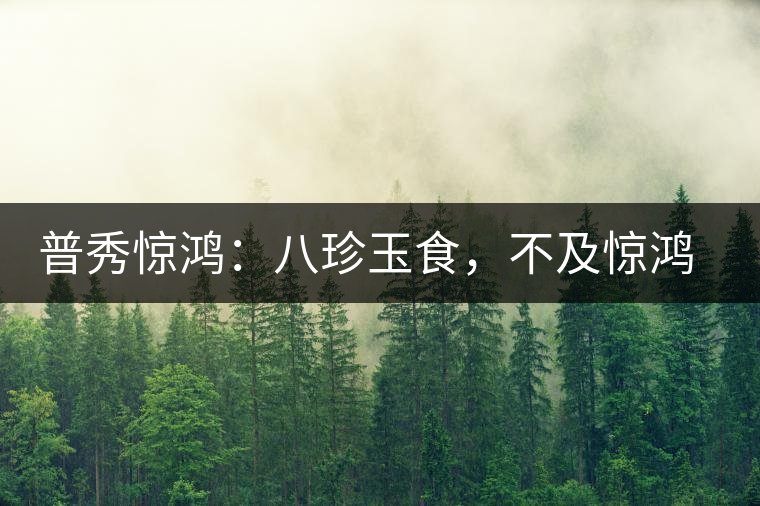 普秀驚鴻：八珍玉食，不及驚鴻一湯