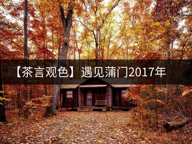 【茶言觀色】遇見蒲門2017年茗門一級(jí)工夫紅茶