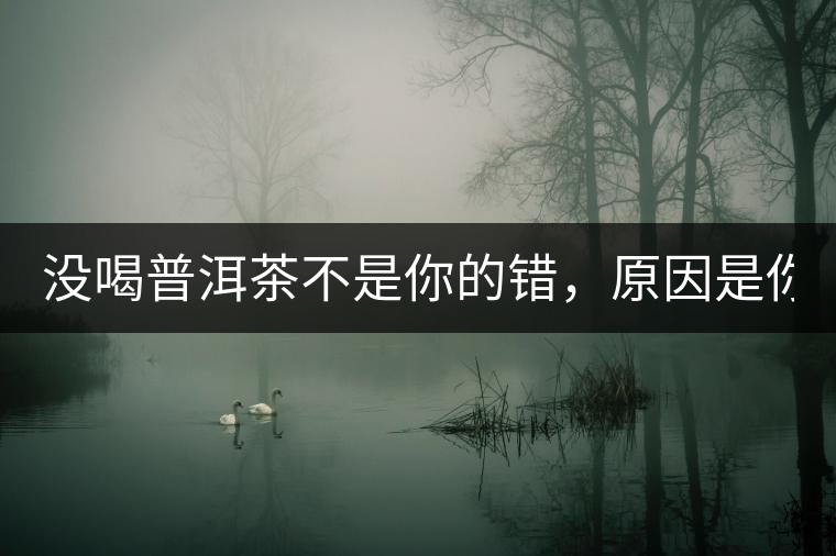 沒(méi)喝普洱茶不是你的錯(cuò)，原因是你還沒(méi)遇到Y(jié)671與Y562