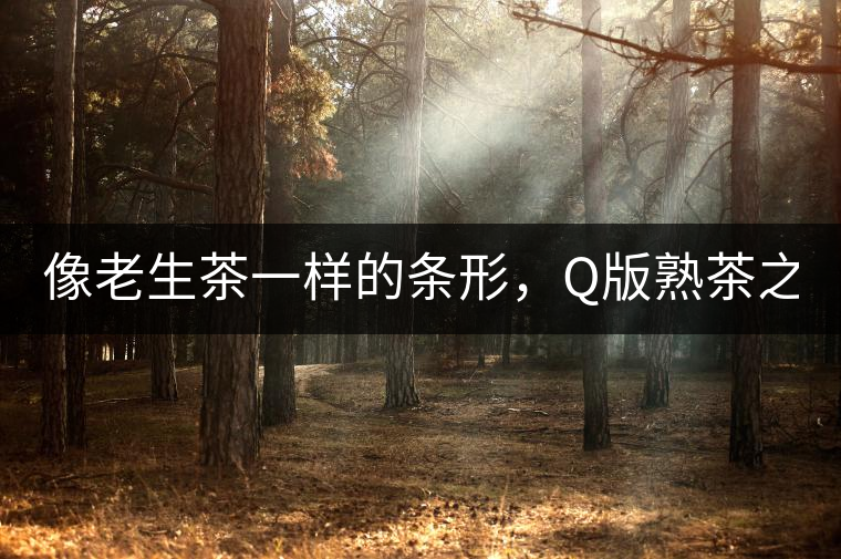 像老生茶一樣的條形，Q版熟茶之【融璞】