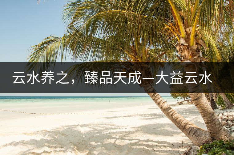 云水養(yǎng)之，臻品天成—大益云水臻開湯