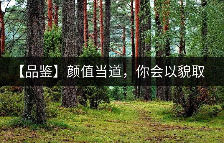 【品鑒】顏值當(dāng)?shù)?，你?huì)以貌取茶嗎？