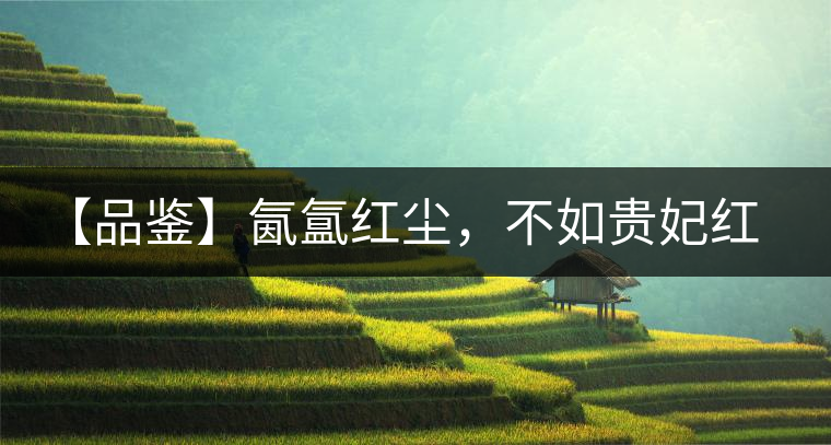 【品鑒】氤氳紅塵，不如貴妃紅一盞