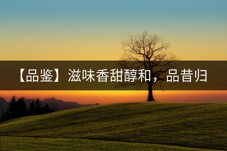 【品鑒】滋味香甜醇和，品昔歸古樹黃片