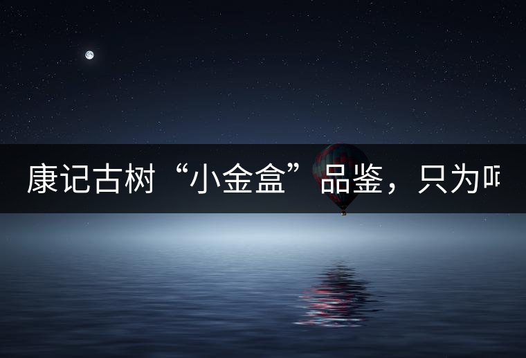 康記古樹“小金盒”品鑒，只為呵護您的味蕾！