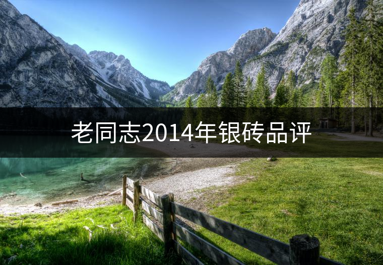 老同志2014年銀磚品評