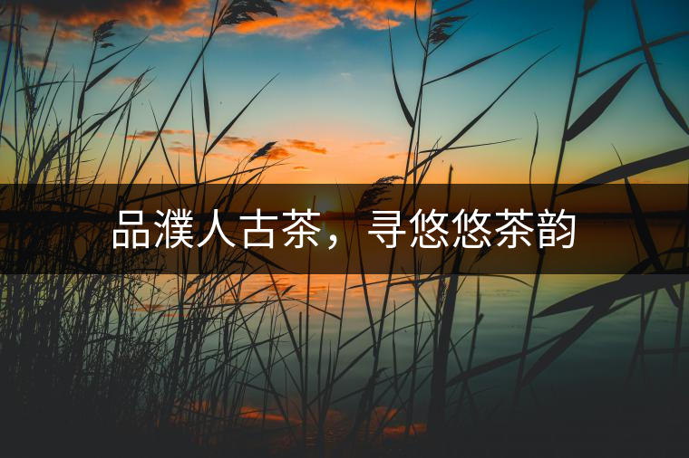 品濮人古茶，尋悠悠茶韻