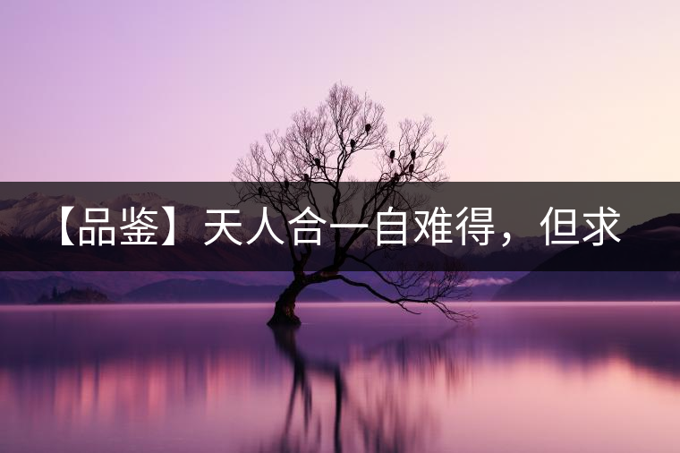 【品鑒】天人合一自難得，但求得茶之本味