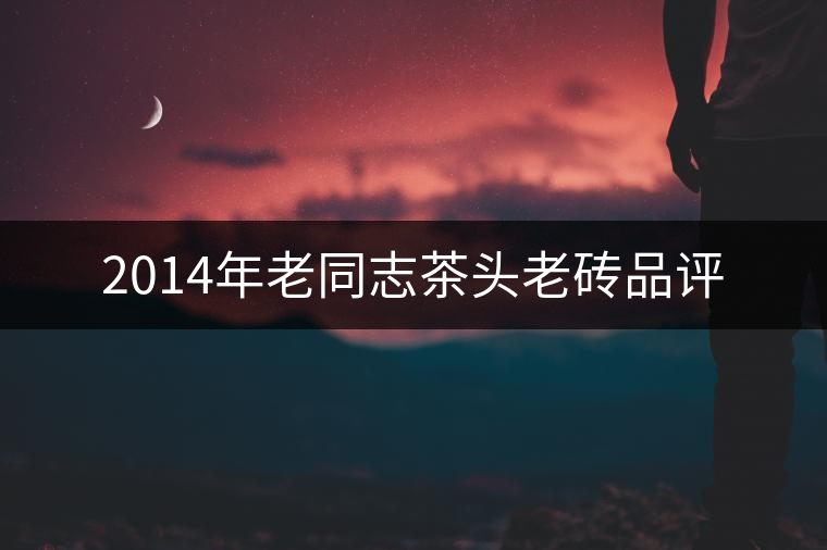 2014年老同志茶頭老磚品評