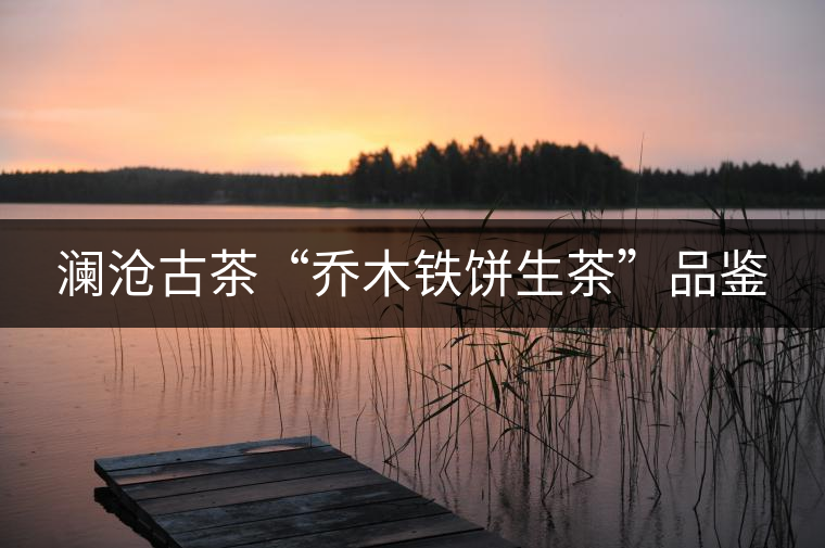 瀾滄古茶“喬木鐵餅生茶”品鑒