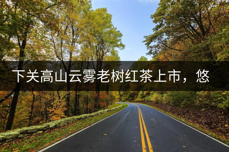 下關(guān)高山云霧老樹(shù)紅茶上市，悠悠春茶香