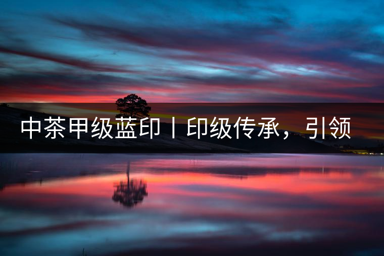 中茶甲級藍印丨印級傳承，引領風韻