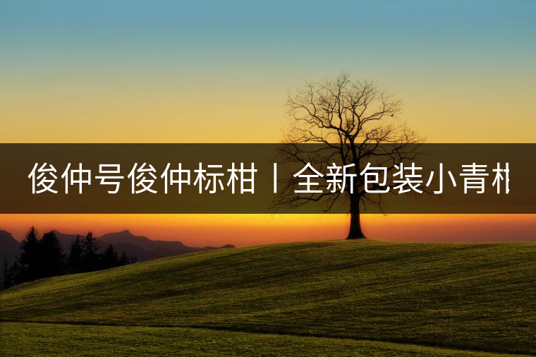 俊仲號(hào)俊仲標(biāo)柑丨全新包裝小青柑震撼上市！