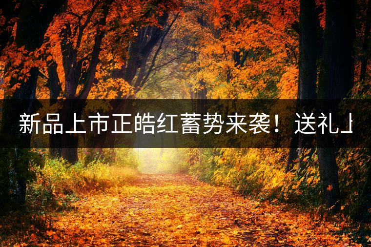 新品上市正皓紅蓄勢來襲！送禮上上之選！