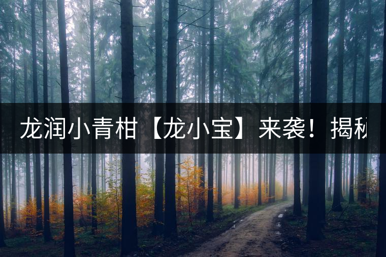 龍潤小青柑【龍小寶】來襲！揭秘它的前半生！