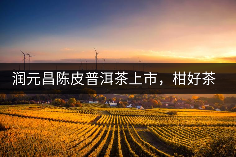 潤元昌陳皮普洱茶上市，柑好茶更好，精品普洱茶