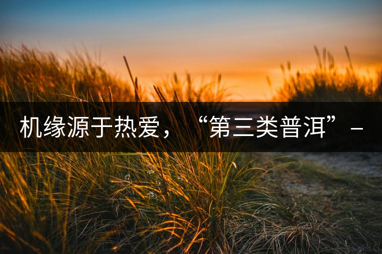機(jī)緣源于熱愛(ài)，“第三類(lèi)普洱”——“散壓茶TM”的誕生。