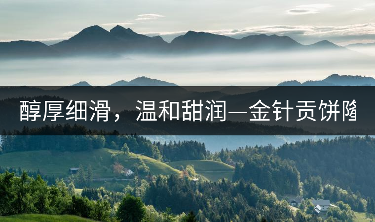 醇厚細(xì)滑，溫和甜潤(rùn)—金針貢餅隆重上市！